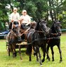 DSC_0151Gespann_aus_Ungarn_Klkowa_2007_album.jpg 