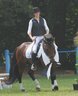DSC_0719__Dressur_Silke_auf_Attila_Klikowa_2007_album.jpg - 