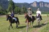 Distanzritt_Tina-Feloes_Laak_40km_.jpg - 