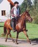 Ni_v_Falkenstein_Meisterschaften_im_Distanzritt60kmSept_2004.jpg - 