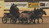 Huzulenfest_2004-3.jpg - 