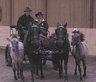Huzulenfest_2004-4.jpg 