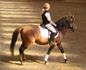 Huzulenfest_2005-1.jpg - 
