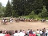 Pferdefest_2005.jpg - 