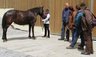 Fortbuldungsseminar_Juni_2004.jpg - 