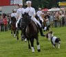 DSC_1262_Gruppe_mit_Hunden_album.jpg - 