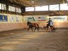 HLP_2005_Fahren.jpg - 