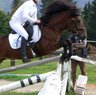 HLP_2006_Springen.jpg 