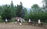 Bild_027frei_album.jpg 