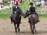 Bild_036_album.jpg 