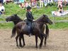 Bild_038_album.jpg - 