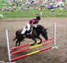 Bild_050frei_album.jpg - 