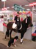 Messe_Wels_2004_Best_in_Show.jpg - 