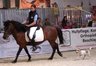 Messe_Wels_2007_Rassepraesentation.jpg - 