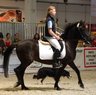 Messe_Wels_2007_Show.jpg - 
