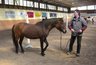 Bild_022NHS_Kurs_1_mit_Angelika_Wohinz_album.jpg - 