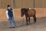 Bild_033_NHS_Kurs_1_mit_Angelika_Wohinz_album.jpg - 