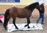 Bild_036_NHS_Kurs1_mit_Angelika_Wohinz_album.jpg - 