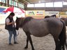 Bild_074_NHS_Kurs_2_Angelika_Wohinz_album.jpg - 