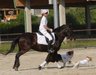 DSC_0708_Lara_auf_Huzulenstute_mitBounty_und_Lili_album.jpg - 