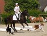 DSC_0712Lara_auf_Huzulenstute_mit_Bounty,_Lili_und_TopSecret_album.jpg - 