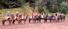 Huzulen_Reitergruppe_April_2003.jpg - 