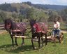 Huzulen_in_der_Landwirtschaft_Julian_April_2003.jpg - 
