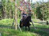 Isabella-Flattervorhang.jpg - 