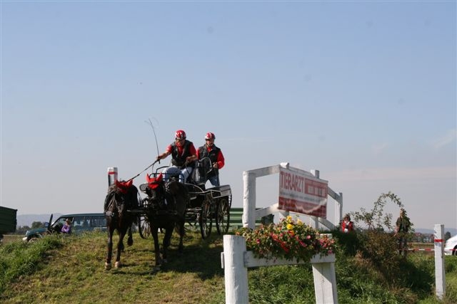 Burgenl&auml;ndische Meisterschaften im Gespannfahren 2007