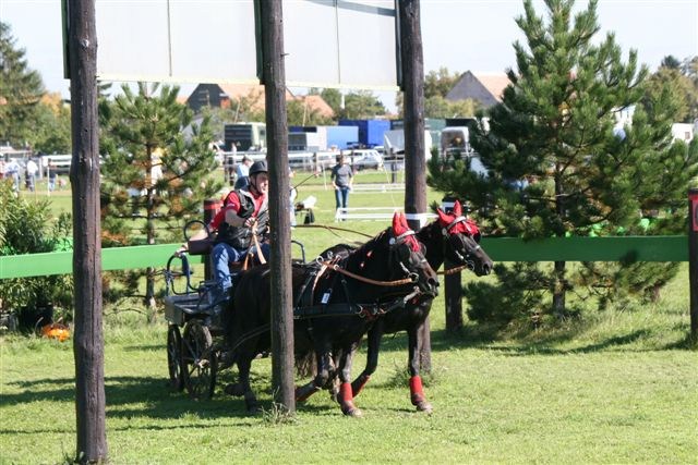 Burgenl&auml;ndische Meisterschaften im Gespannfahren 2007