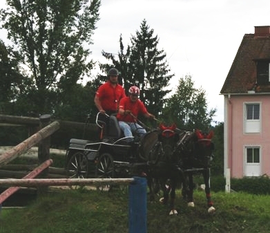  Steirische Meisterschaften im Gespannfahren 2007