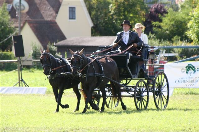 Steirische Meisterschaften im Gespannfahren 2007