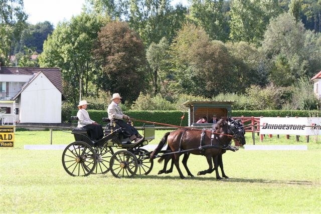 Steirische Meisterschaften im Gespannfahren 2007