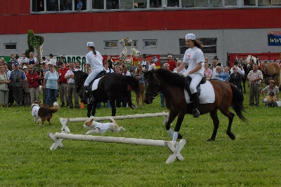 Gruppe springend