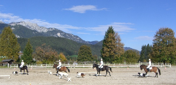 Rettungshundestaffel vor dem Dachsteinmassiv._600x800_100KB_Bericht.jpg - 89.83 Kb