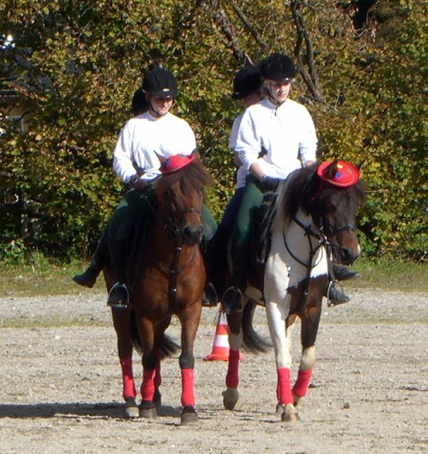 Shownummer mit 2 Wallachen, K&ouml;nigmaiergut, Gaspoltshofen._600x800_100KB_Bericht.jpg - 96.68 Kb
